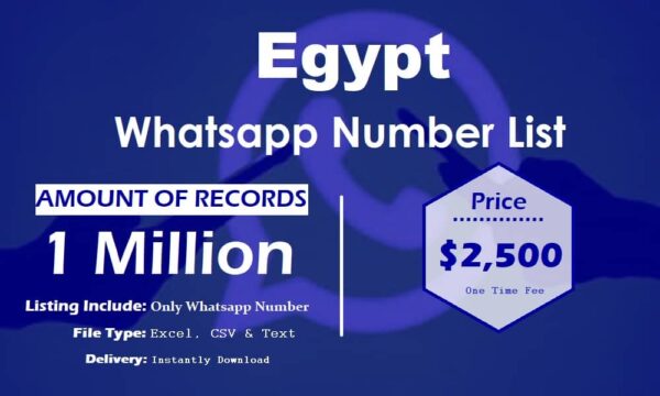 Egypt WhatsApp Analytics Data 100K